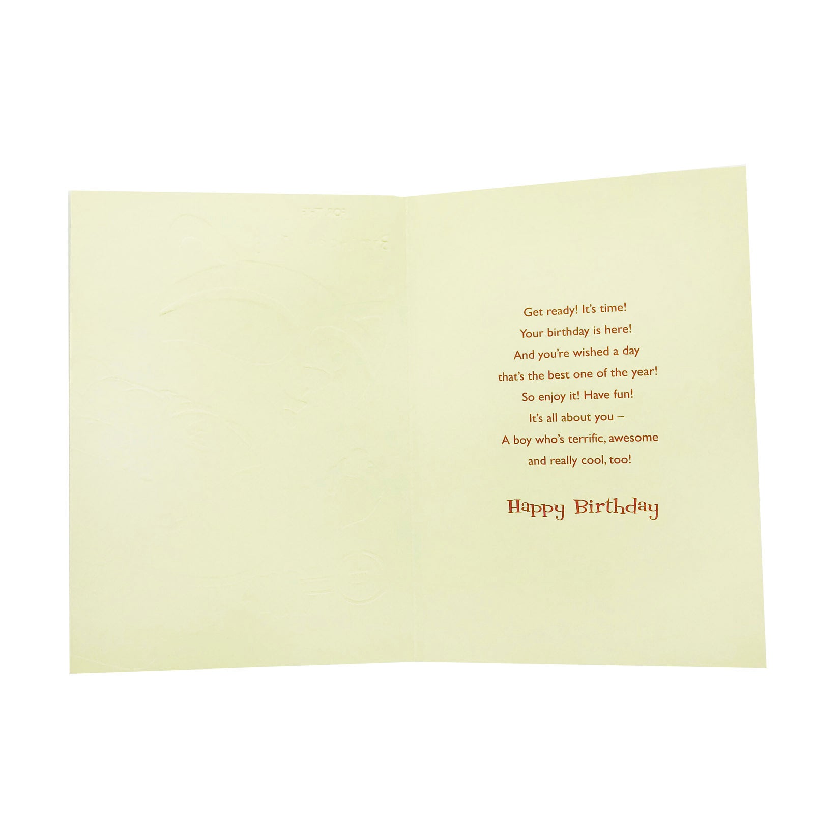 Designer Greetings Birthday Card - Birthday Boy - Raccoon