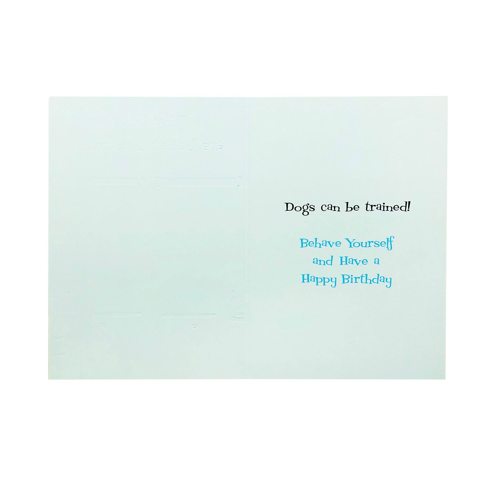Designer Greetings Birthday Card - Why Dogs Are Better Than Men