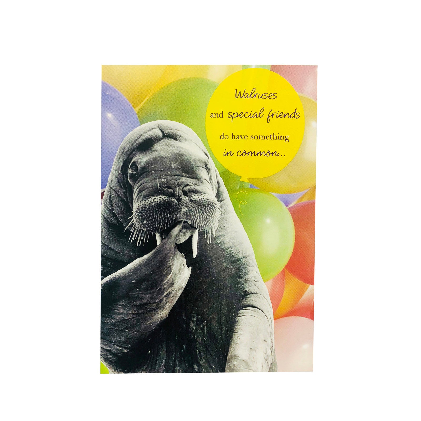 Designer Greetings Birthday Card - Walruses And Special Friends