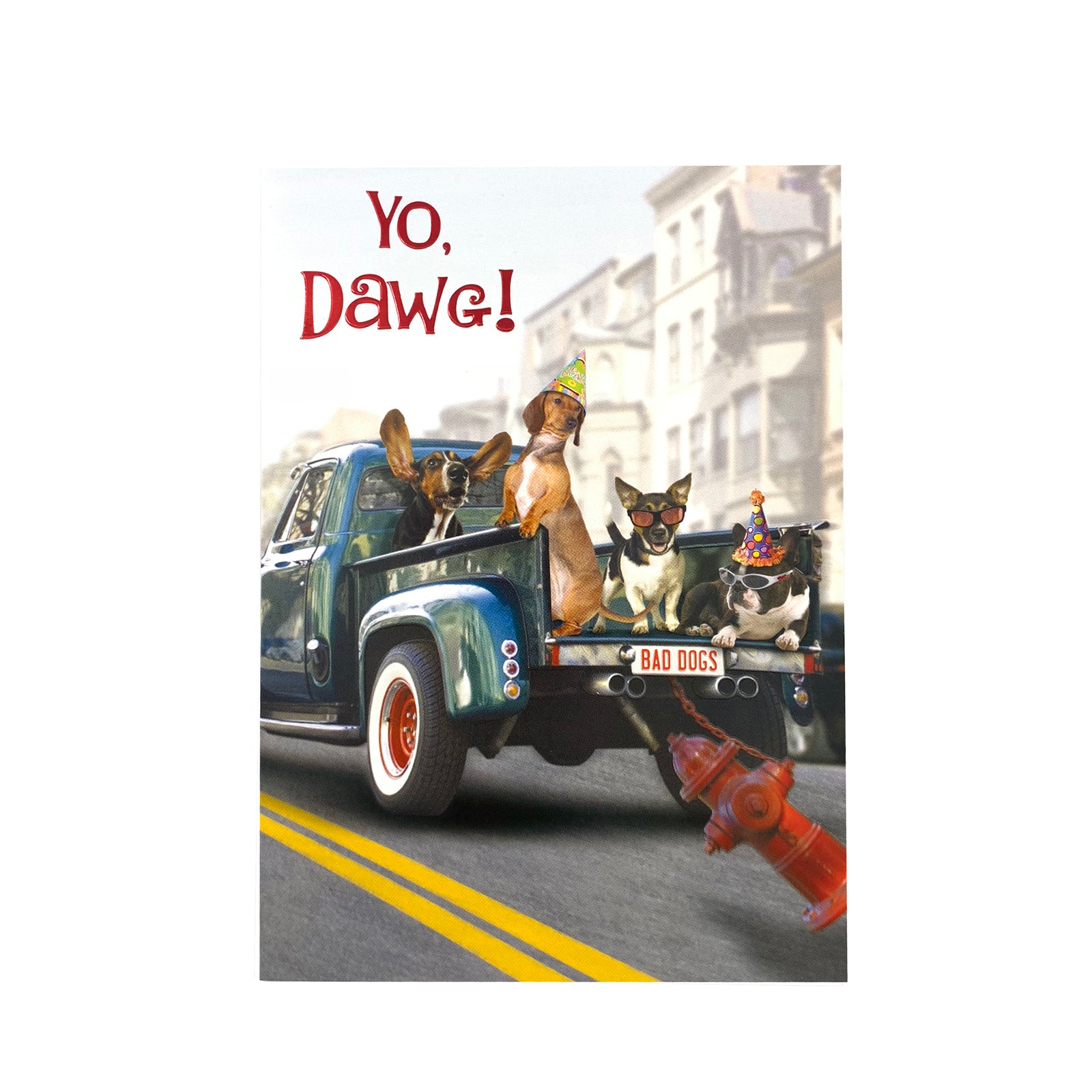 Designer Greetings Birthday Card - Yo Dawg ! Pickup Truck