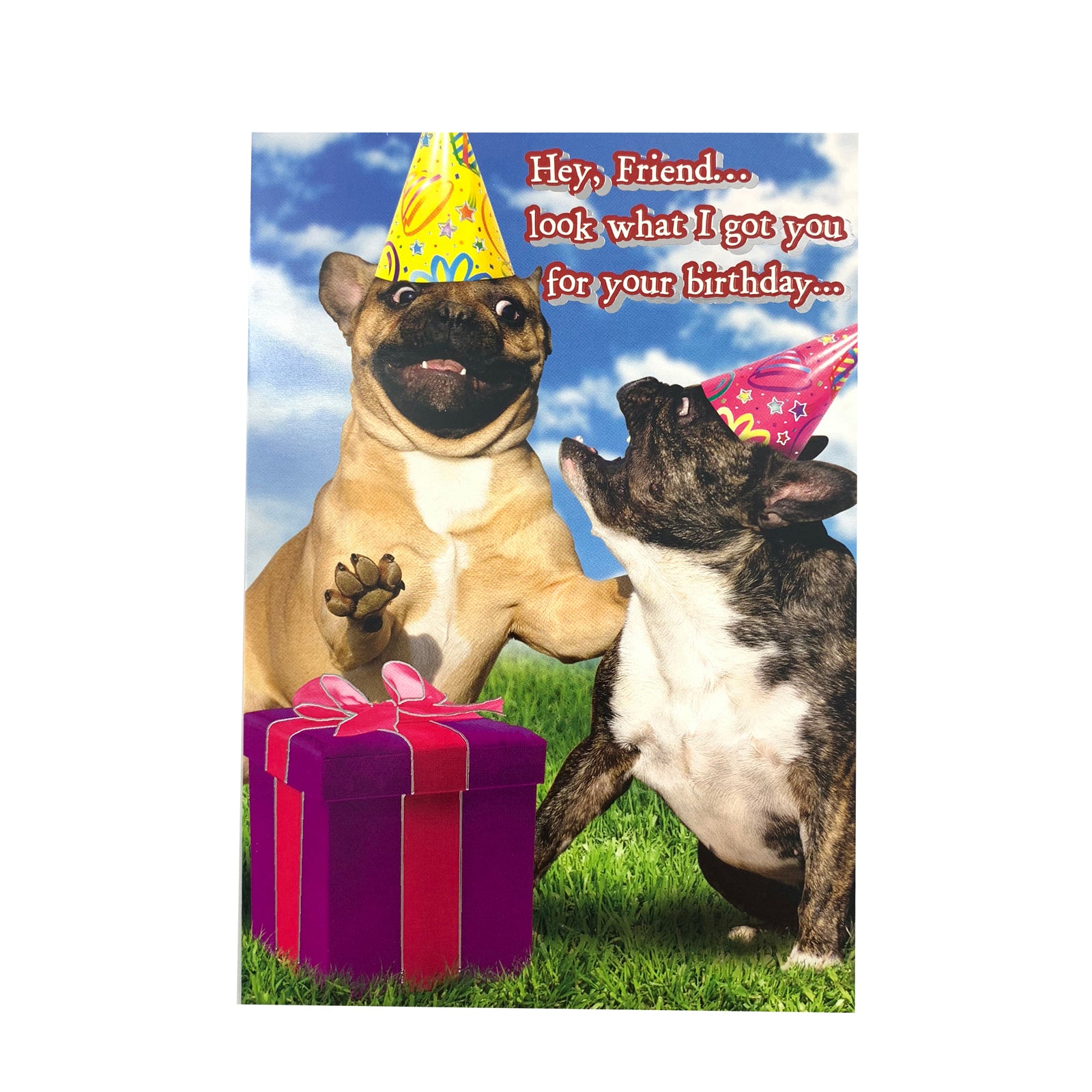 Designer Greetings Birthday Card - Hey Friend Pugs